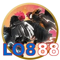 LO888